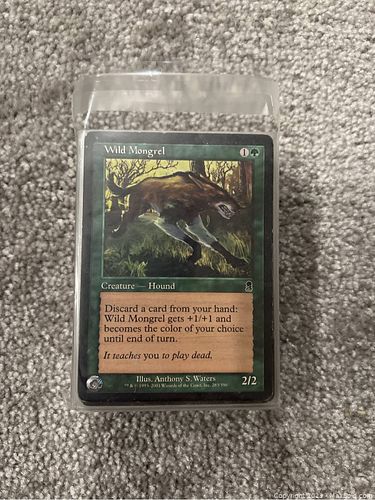 Lot #17 (1 of 1)