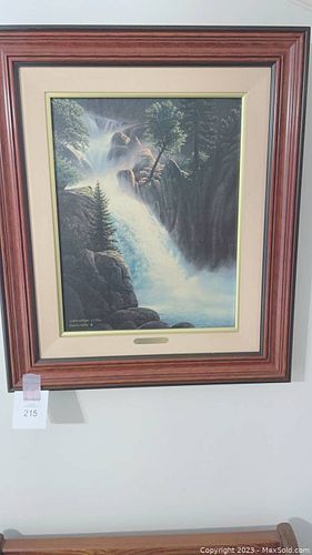 Lot #215 (1 of 1)