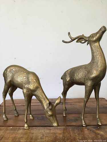 Lot #47 (1 of 4)