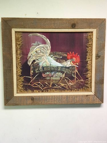 Lot #22 (1 of 6)
