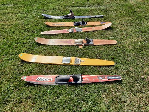 Lot #473 (1 of 12)