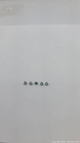 Lot #24 (1 of 16)