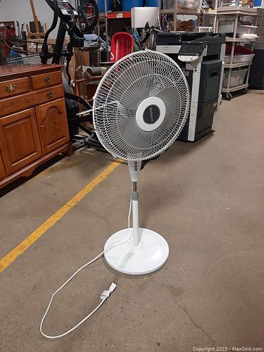 Lot #665 (1 of 4)