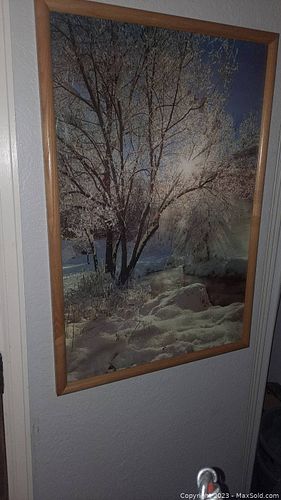Lot #44 (1 of 1)