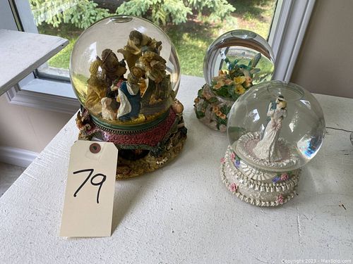 Lot #79 (1 of 7)
