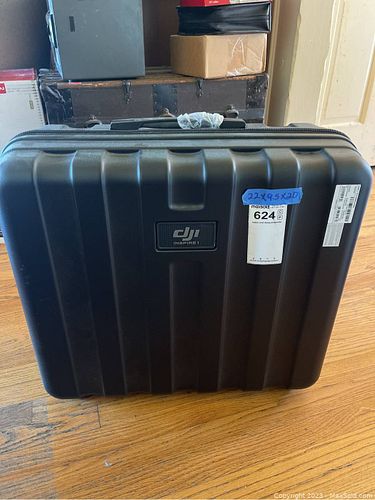 Lot #624 (1 of 12)