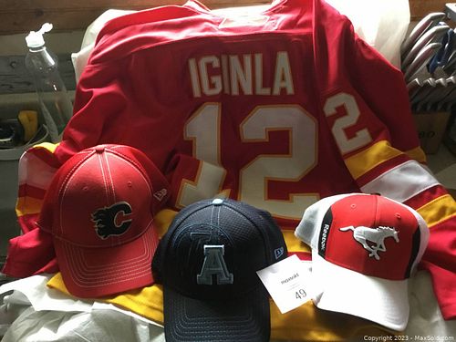 Lot #49 (1 of 2)
