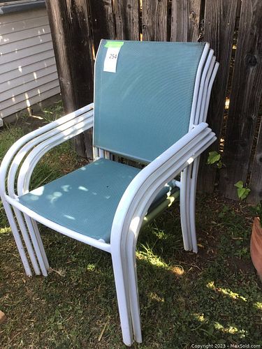 Lot #254 (1 of 3)