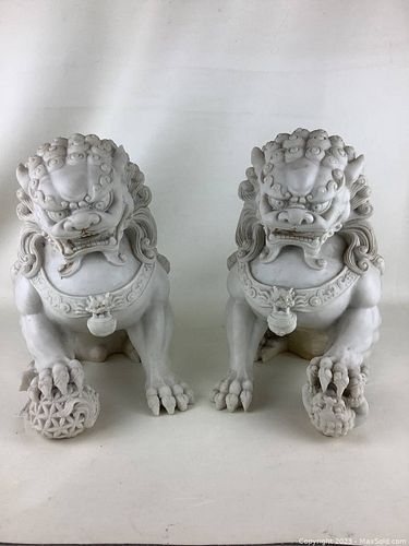 Lot #21 (1 of 13)