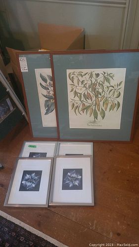 Lot #425 (1 of 8)