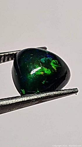 Lot #10 (1 of 20)