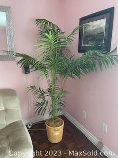Lot #20 (1 of 2)