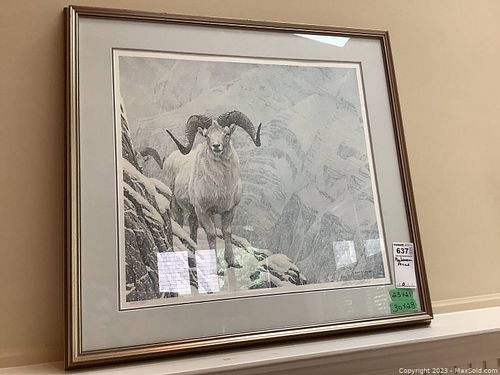 Lot #637 (1 of 6)