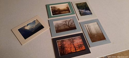 Lot #56 (1 of 7)