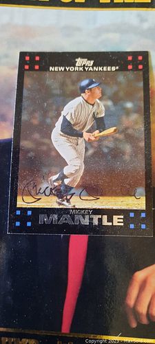 Lot #22 (1 of 2)