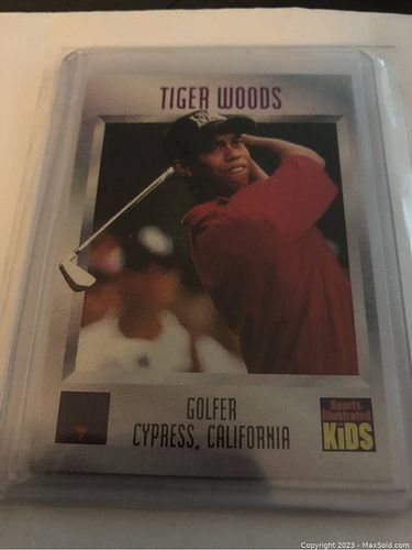 Lot #41 (1 of 2)