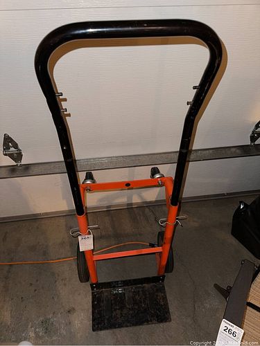 Lot #265 (1 of 5)
