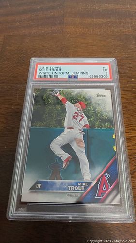 Lot #23 (1 of 3)