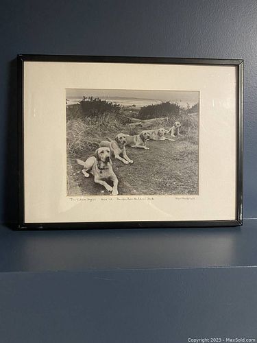 Lot #29 (1 of 5)