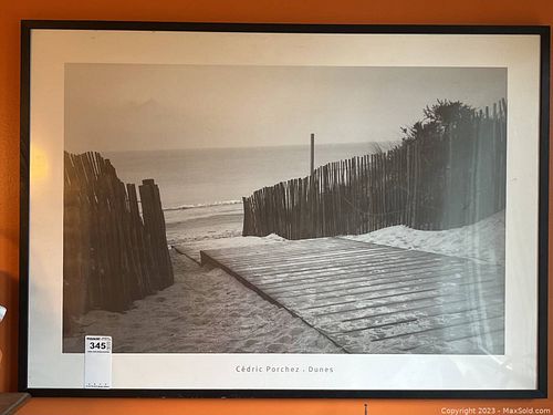 Lot #345 (1 of 5)