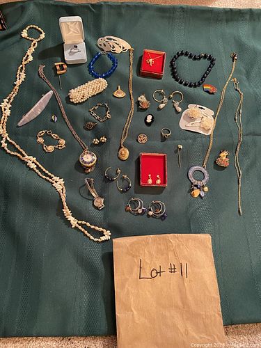 Lot #11 (1 of 7)
