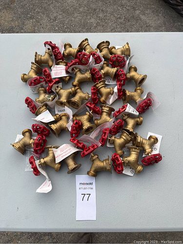 Lot #77 (1 of 1)