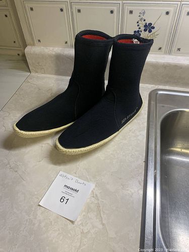 Lot #61 (1 of 5)