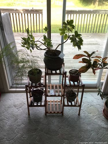 Lot #623 (1 of 11)