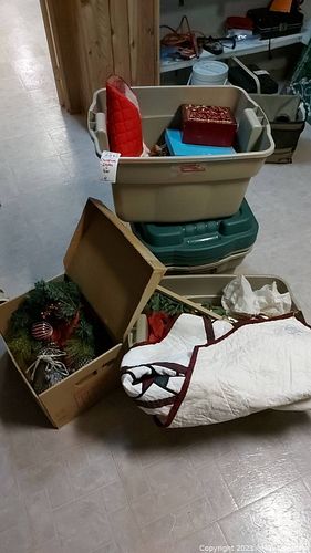 Lot #221 (1 of 18)