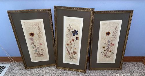 Lot #494 (1 of 11)