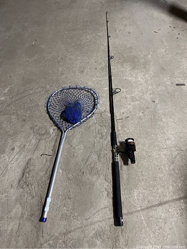 Lot #292 (1 of 4)