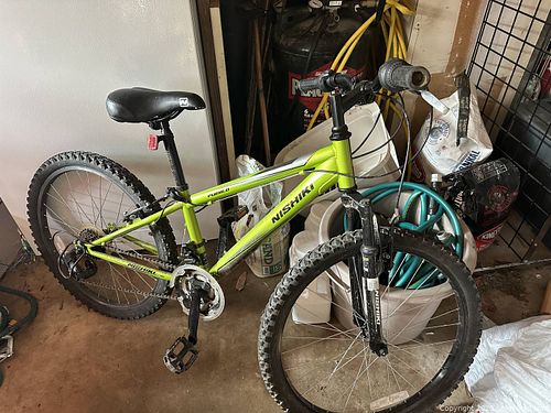 Lot #49 (1 of 1)