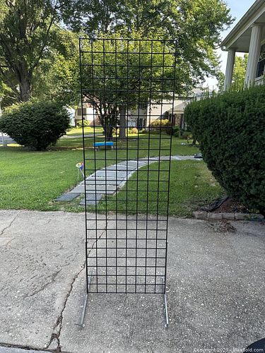 Lot #46 (1 of 2)