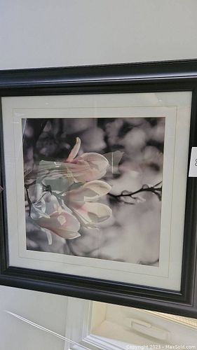 Lot #68 (1 of 2)
