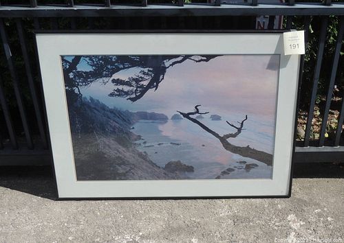 Lot #191 (1 of 3)