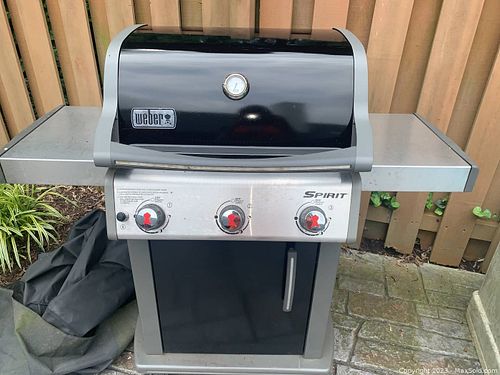 Lot #19 (1 of 12)