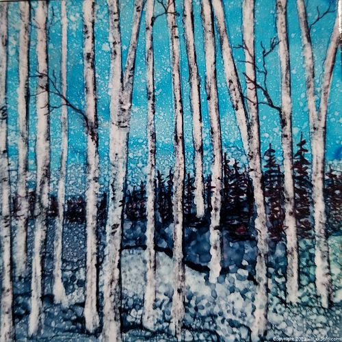 Lot #82 (1 of 1)