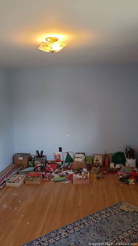 Lot #594 (1 of 18)