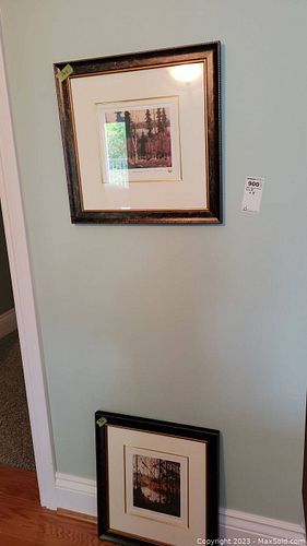 Lot #900 (1 of 16)