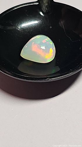 Lot #3 (1 of 19)