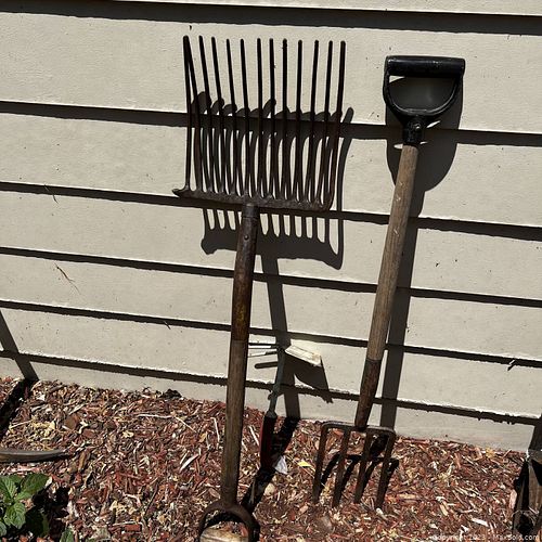 Lot #56 (1 of 6)