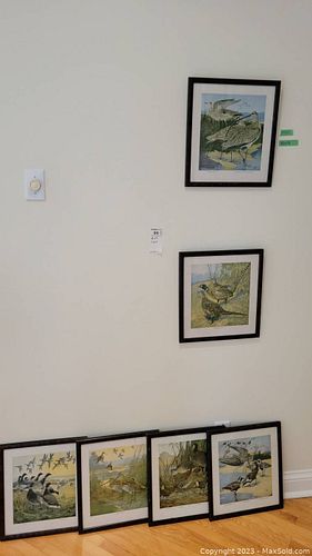 Lot #99 (1 of 11)