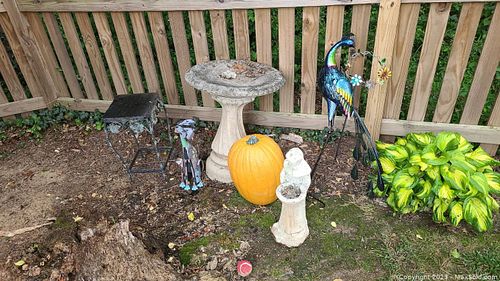Lot #769 (1 of 20)