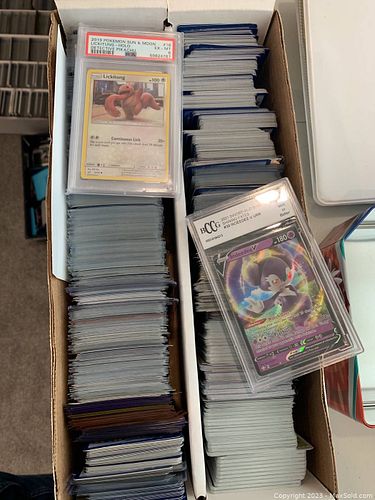 Lot #8 (1 of 1)
