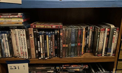 Lot #231 (1 of 1)