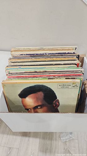 Lot #106 (1 of 15)