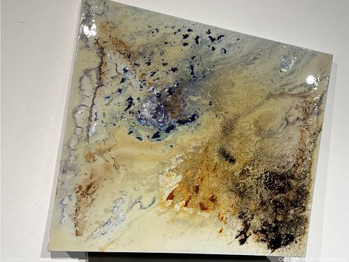 Lot #50 (1 of 6)
