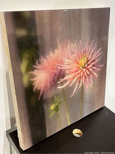Lot #54 (1 of 4)
