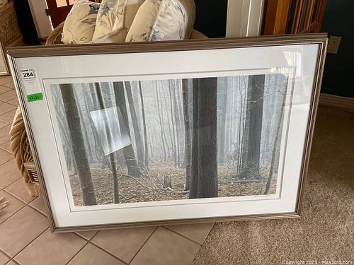 Lot #284 (1 of 9)