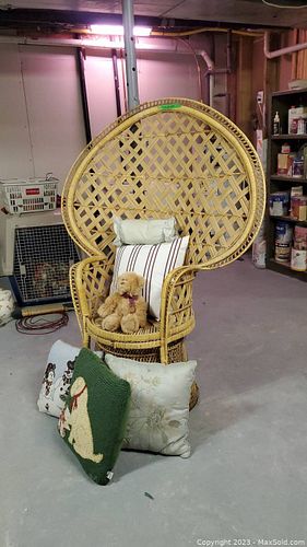 Lot #480 (1 of 12)
